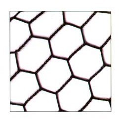 Wire Mesh